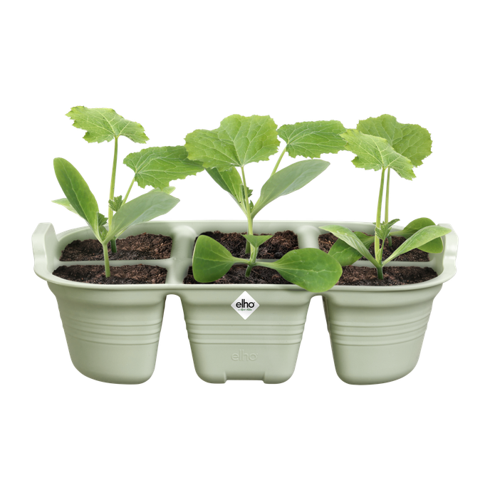 green basics seed tray 22cm stone green